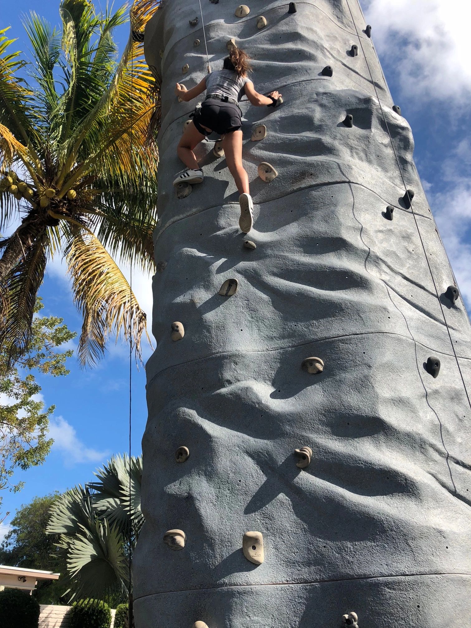 2019 photo gallery image