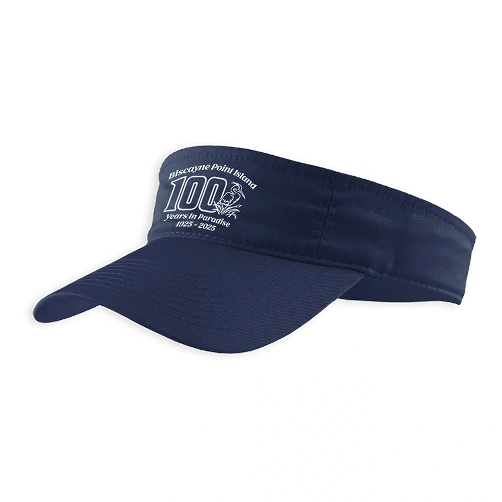 Embroidered Navy Visor